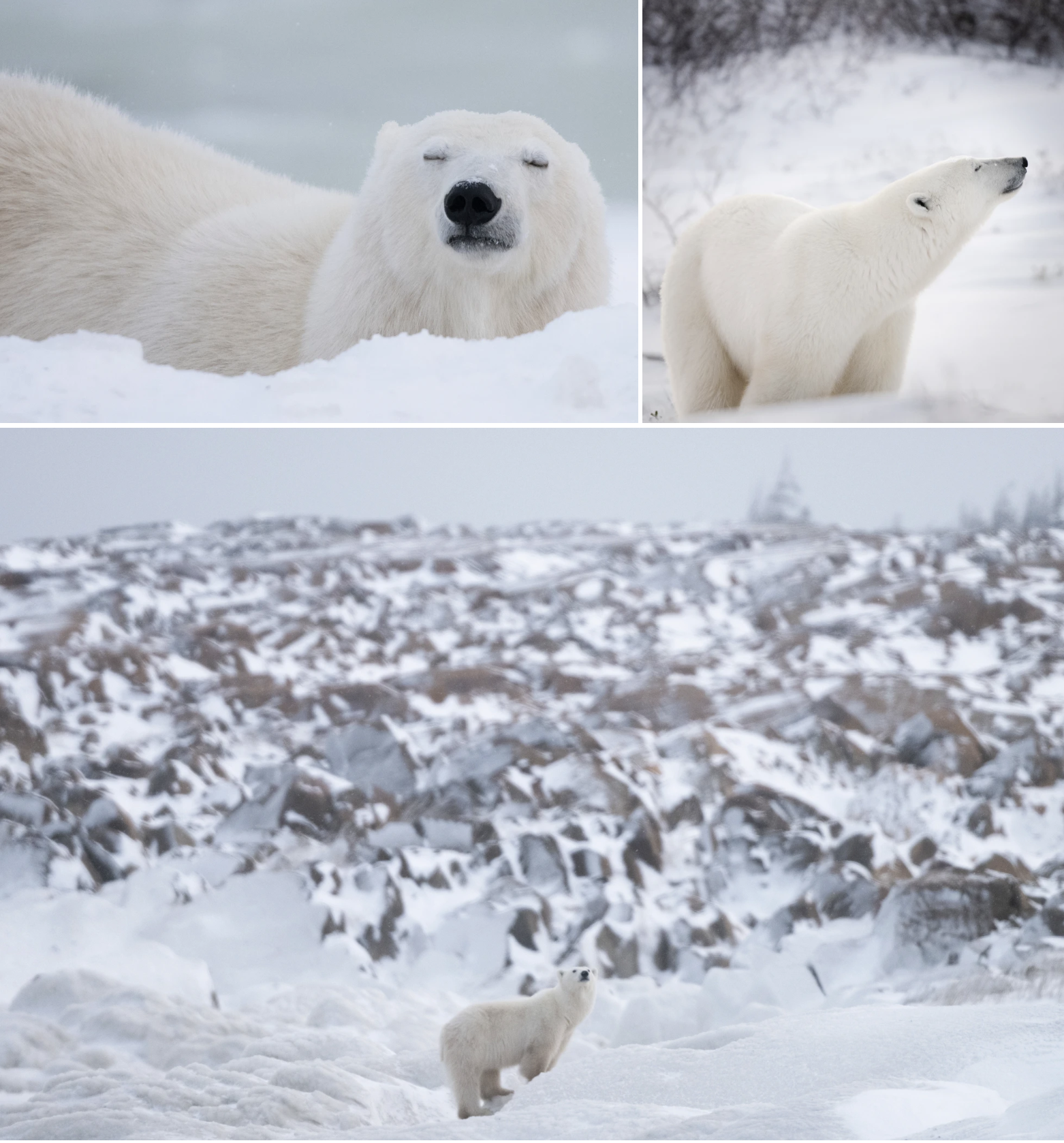 Kristi Odom and Tamara Lackey, photography workshops, Nikon Ambassador